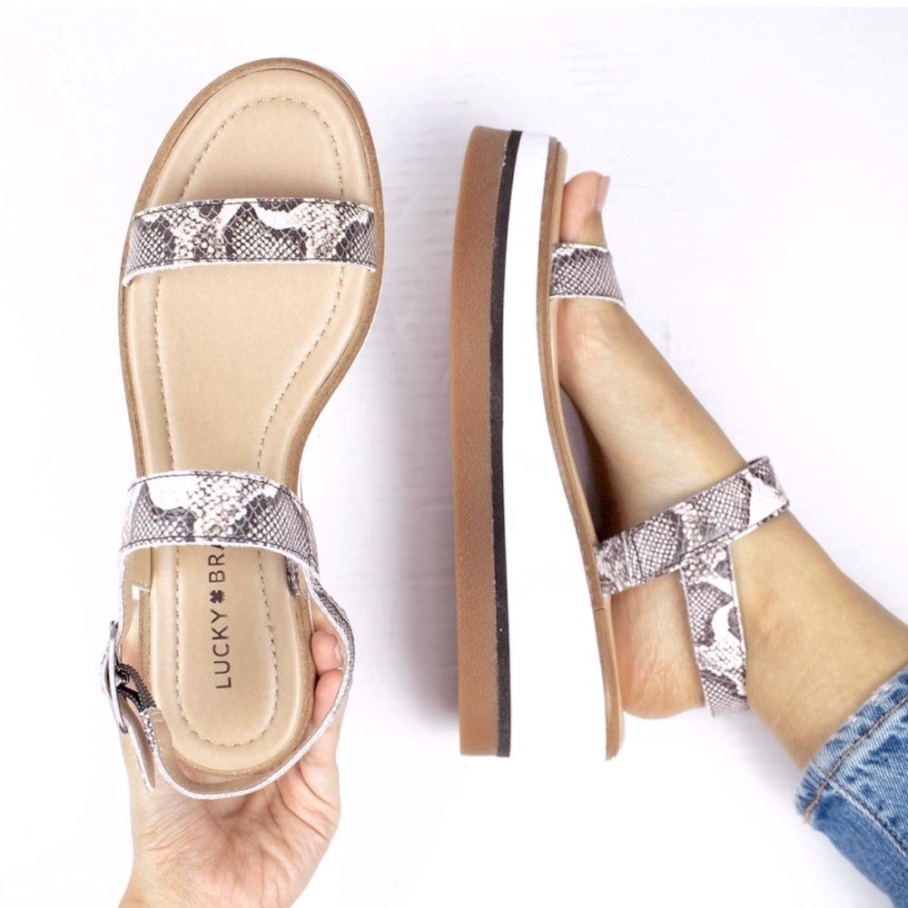 NIB Lucky Brand Womens Tamri Buckle Wedge Snake Print Sandals Sz 8